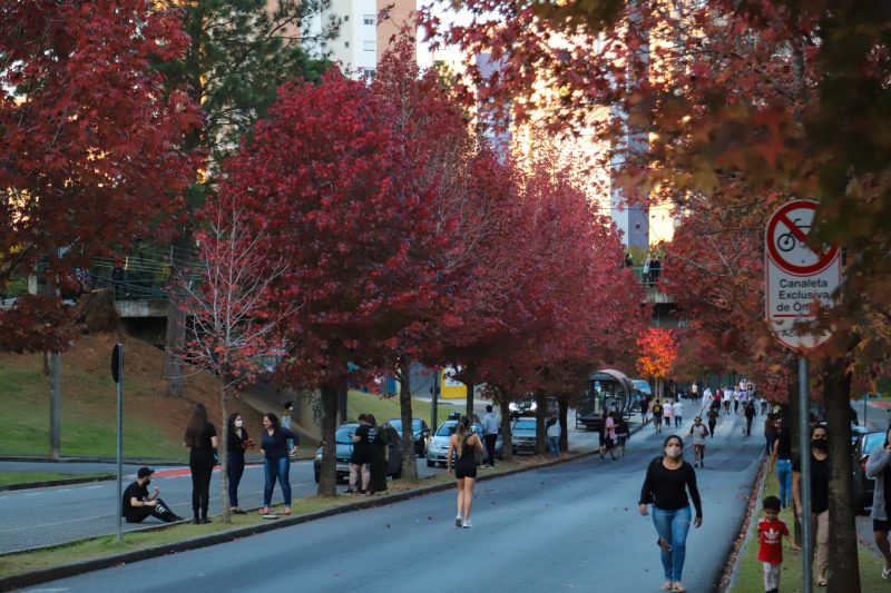Clima – Outono começa na sexta com chuva acima da média e mais dias com amplitude térmica