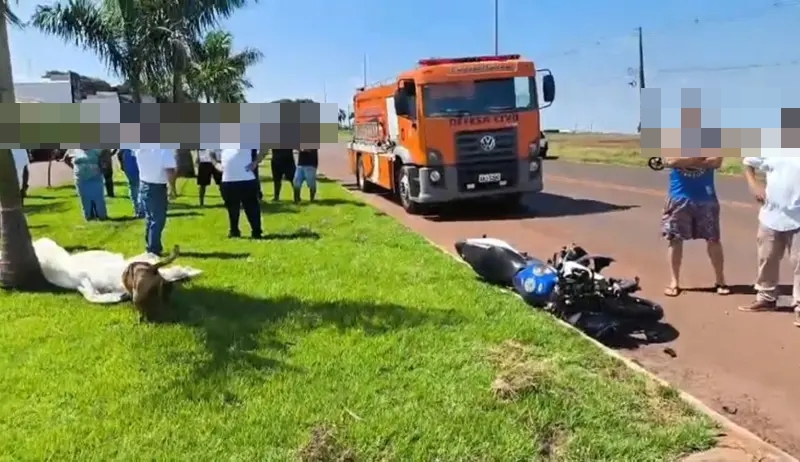 PR 574 – Motociclista morre após acidente em Cafelândia