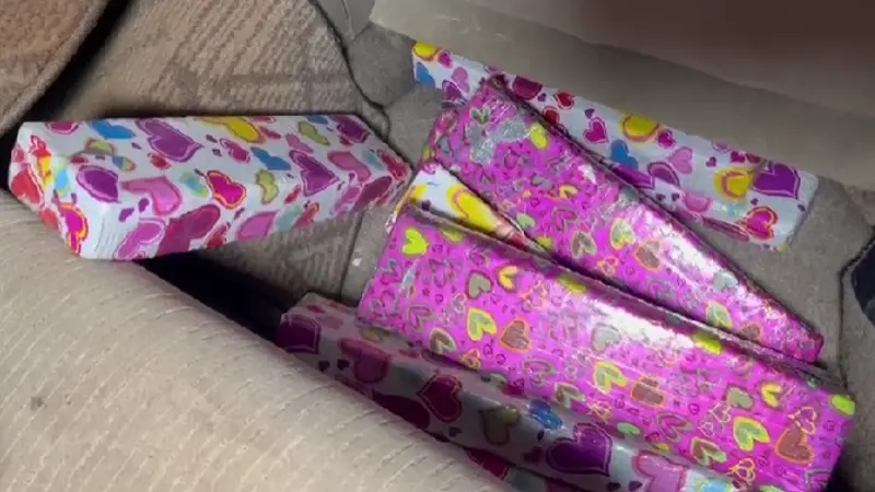 Região – BPFron apreende drogas na BR 277 e prende jovem de 21 anos