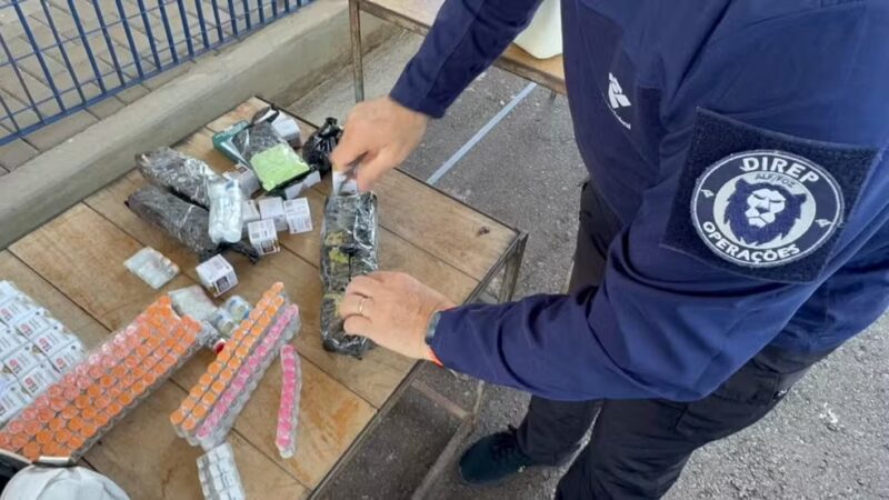 Segurança – Brasileiro que estuda medicina no Paraguai e avó são flagrados transportando 462 canetas emagrecedoras do PR para SP