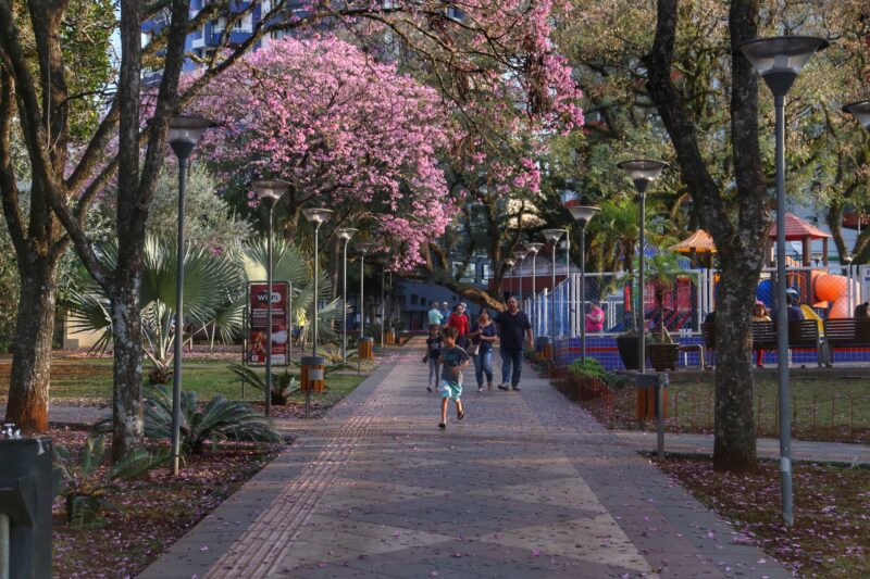 Clima – Semana deve ser de muito calor no Paraná com chuva no início do Carnaval