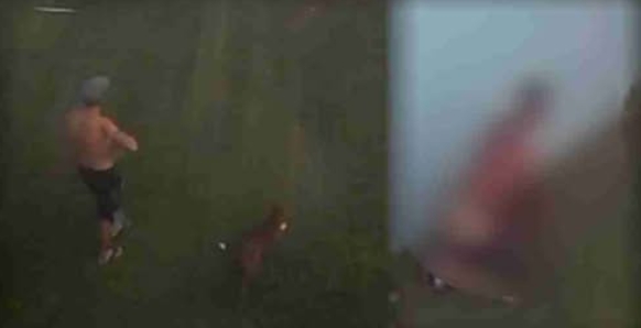 Região – Homem é preso por abuso sexual contra cachorro no Paraná