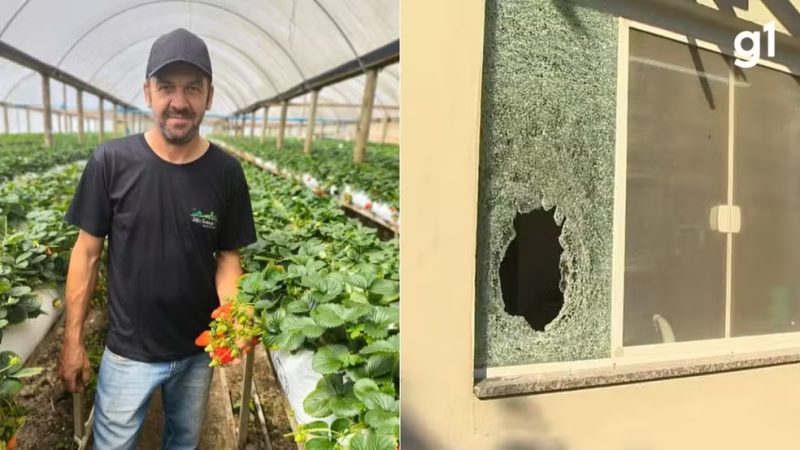 Segurança – Polícia do Paraná diz que informações que levaram a fazenda onde agricultor foi morto por engano pela PM do RS vieram de suspeitos presos em Guaíra