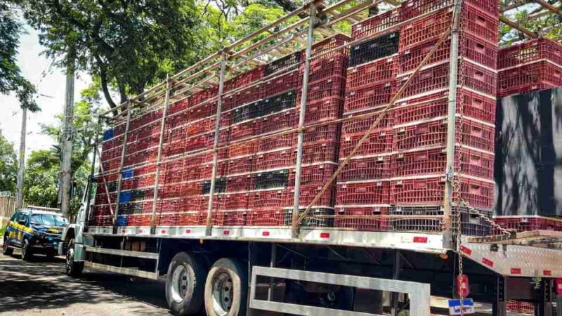 Segurança – PRF apreende quase duas toneladas de maconha no interior do PR