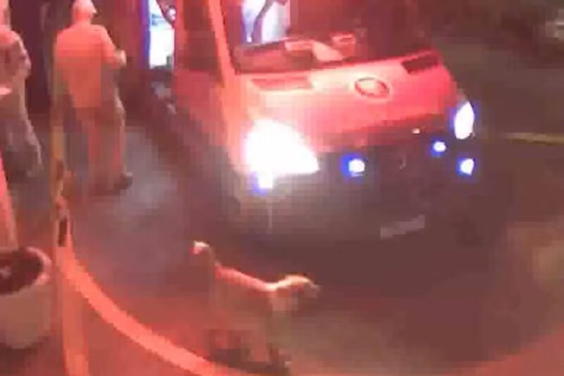 Paraná – Cachorro se recusa a abandonar tutor ferido, entra na ambulância e espera na porta de hospital até ele ser liberado