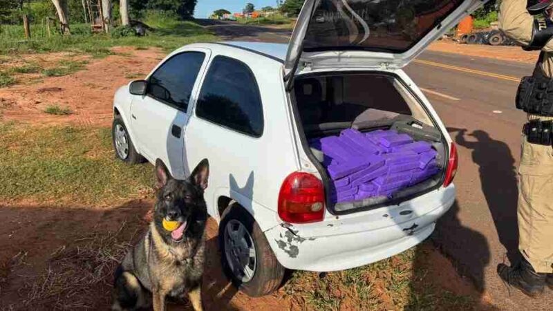 Iporã – Mais de 210 quilos de drogas e armas são apreendidas na PRC 272