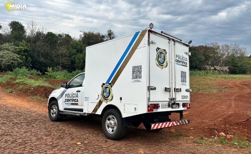 Paraná – Homem morre após ataque de abelhas enquanto trabalhava com máquina agrícola