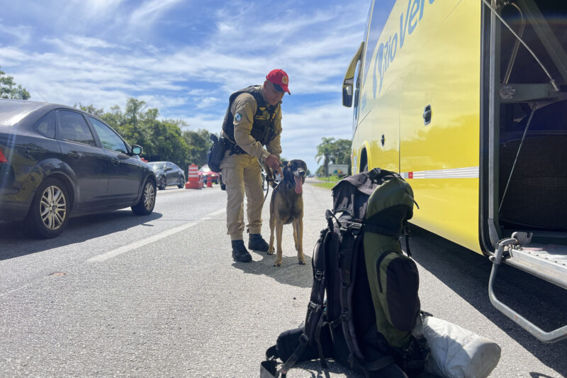 Trânsito – PMPR registra 9,6 mil infrações de trânsito durante o recesso de Ano Novo nas rodovias
