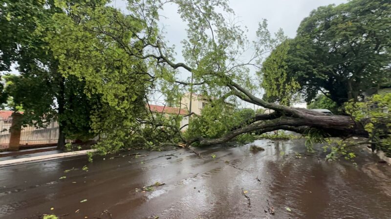 Clima – Vento e chuva fortes atingem Guaíra na tarde desta terça-feira