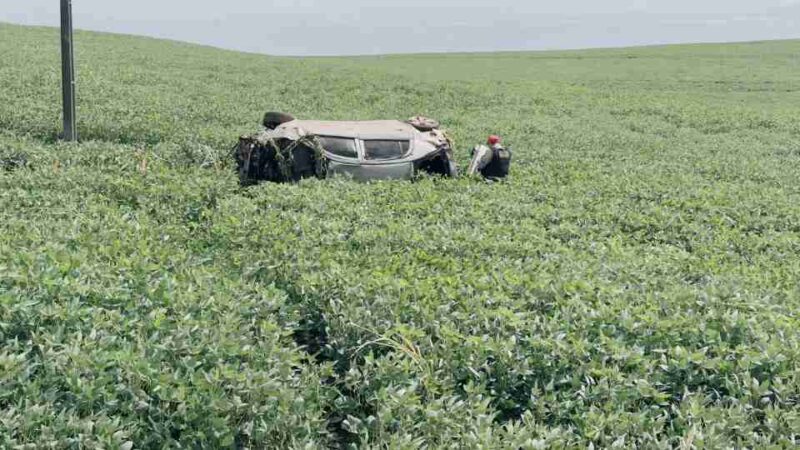 PR 082 – Homem morre em capotamento em Engenheiro Beltrão
