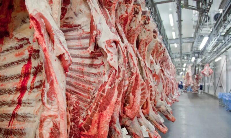 Economia – Preço da carne deve aumentar em 2026