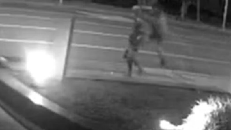 Paraná – Homem confessa espancar outro até a morte por suspeitar que mãe dele foi furtada pela vítima 9 anos antes