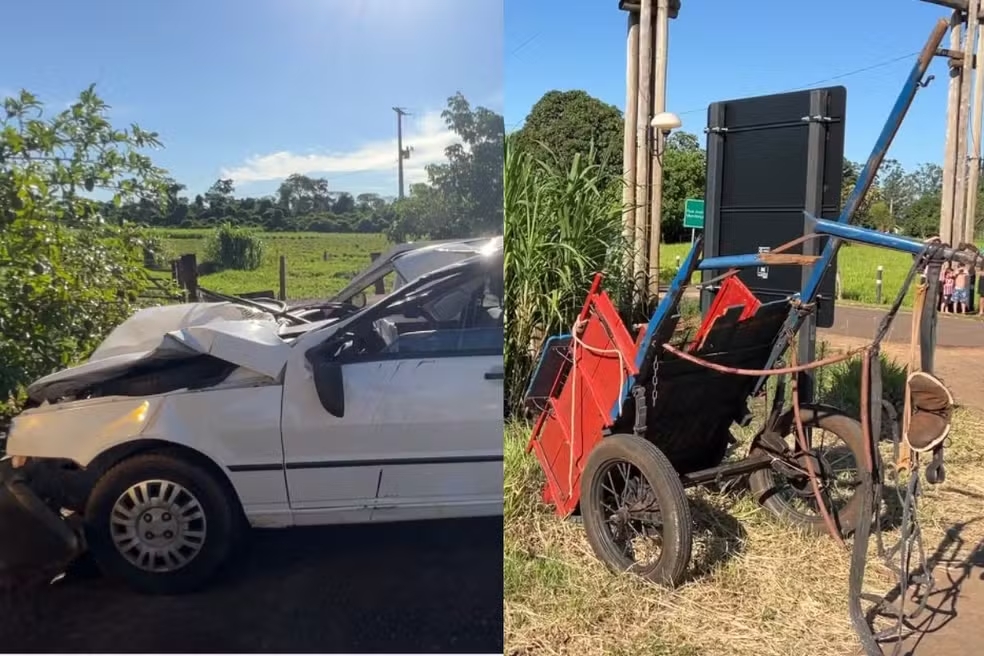 PR 182 – Carro bate em carroça na rodovia, cavalo morre e três pessoas feridas
