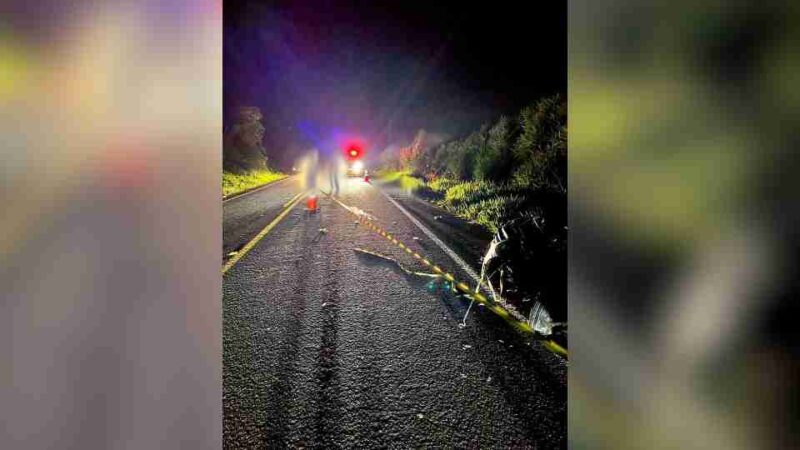 PR 281 – Homem de 36 anos morre após batida frontal