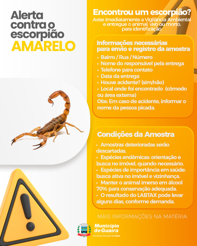 Alerta – Município de Guaíra confirma presença do escorpião Tityus serrulatus e reforça medidas de prevenção