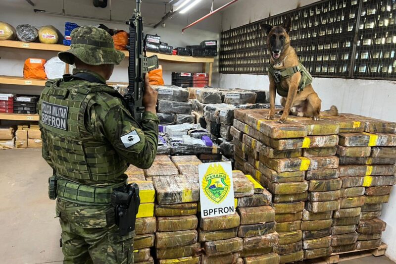 Segurança – PMPR apreende 1,5 tonelada de maconha escondida em área de mata em Santa Helena
