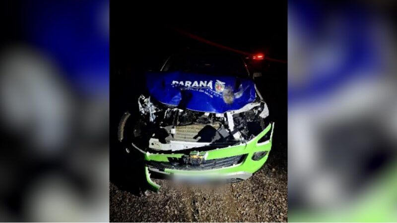 PR 488 – Carro da Prefeitura de Santa Helena atinge bovinos em Santa Helena