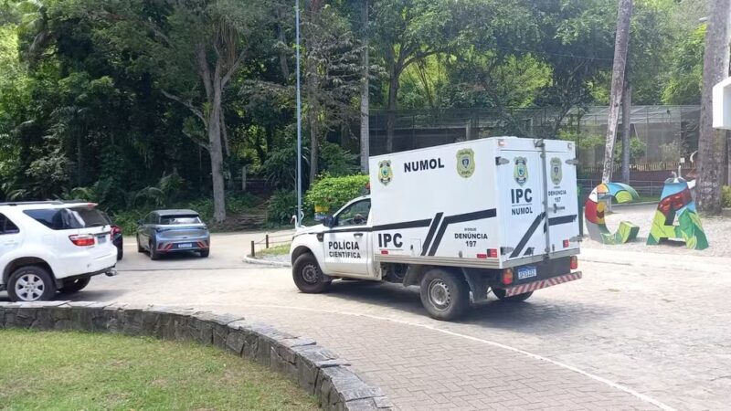 PB – Homem é morto por leoa após entrar em jaula em zoológico de João Pessoa