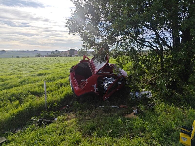 PR 488 – Colisão contra árvore mata dois ocupantes de carro de Marechal Cândido Rondon