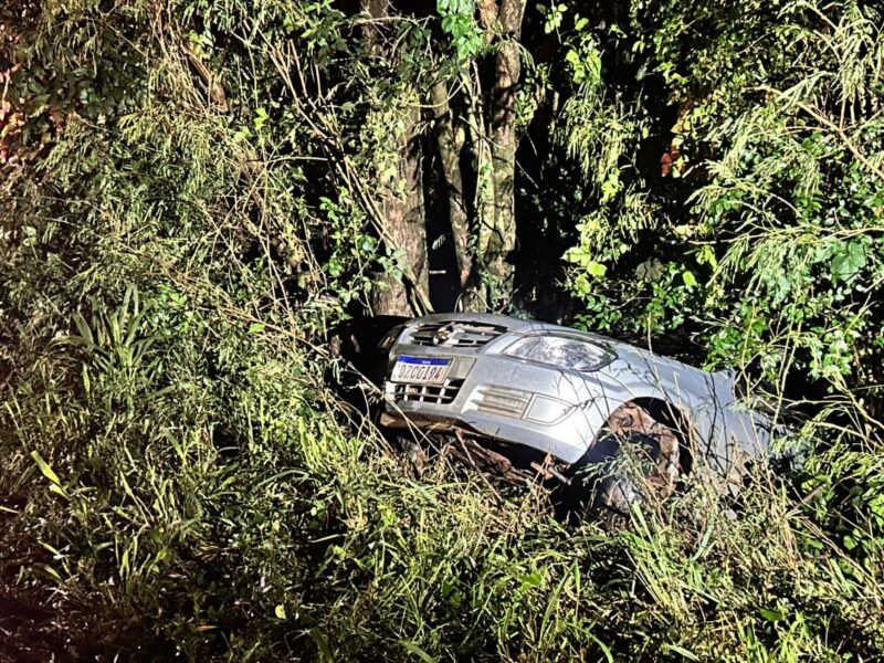 PR 495 – Carro sai da pista e bate em árvore em Marechal Cândido Rondon