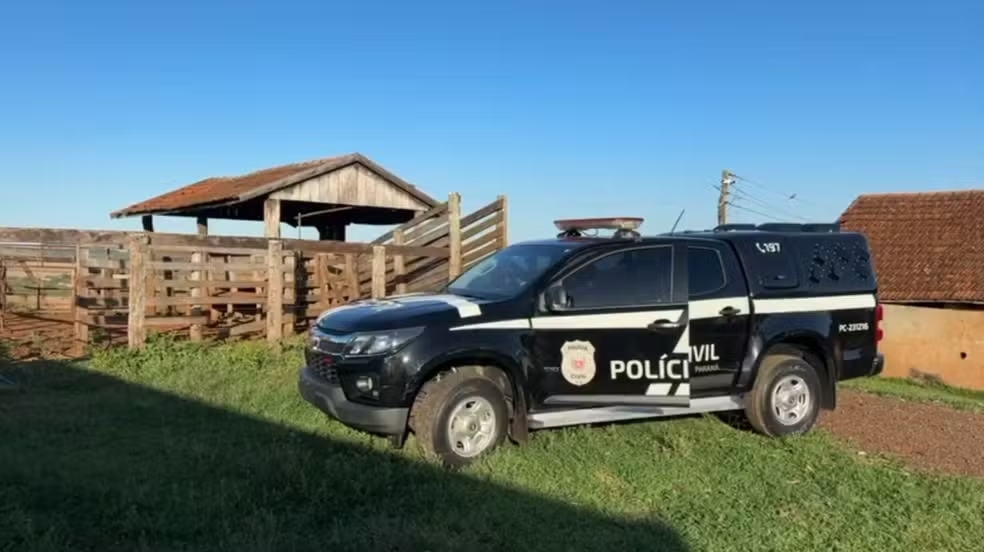 Segurança – Grupo ‘altamente organizado’ para furto de gado é descoberto no Paraná, diz polícia