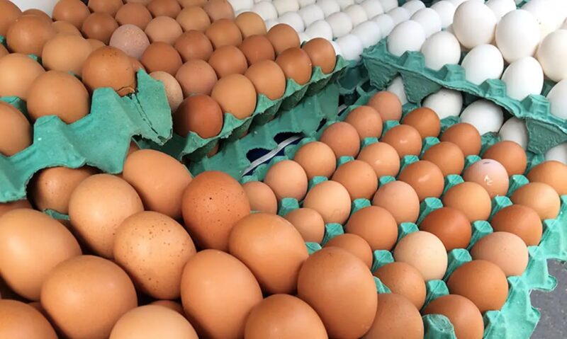 Agro – Brasil amplia exportações agrícolas para cinco países