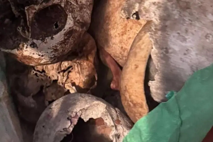 SP – Polícia encontra mais de 12 crânios e ossos humanos em apartamento