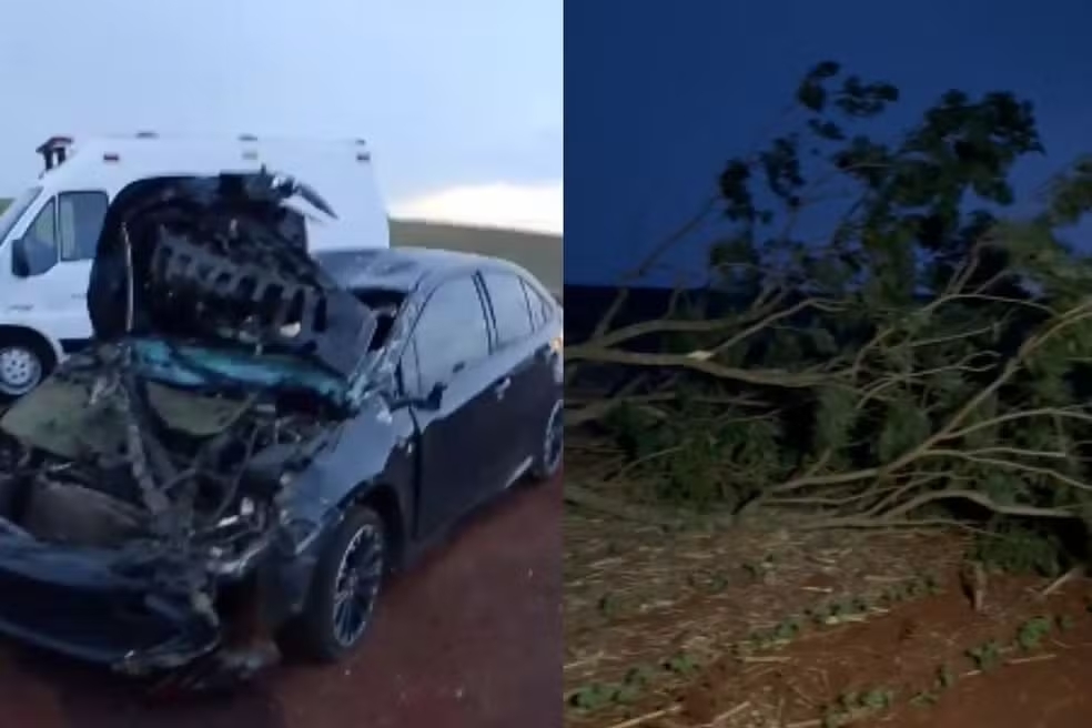 Clima – Prefeito e primeira-dama ficam feridos após árvore cair no carro deles durante ventania no Paraná