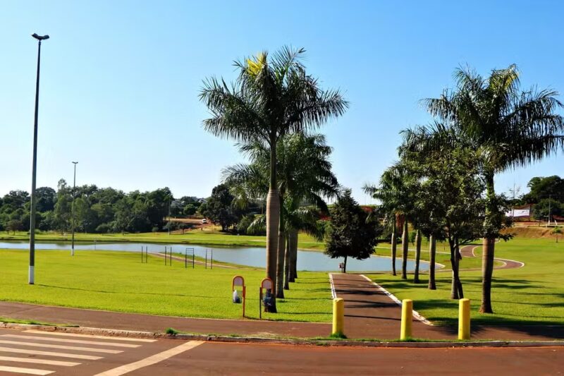 Paraná – Prefeitura de Palotina oferta 75 vagas em concursos; salários chegam a R$ 18,8 mil