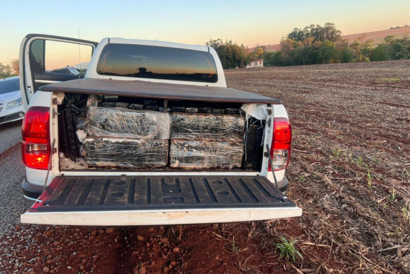 Toledo – PMPR e PF apreendem mais de 1,6 tonelada de maconha em chácara