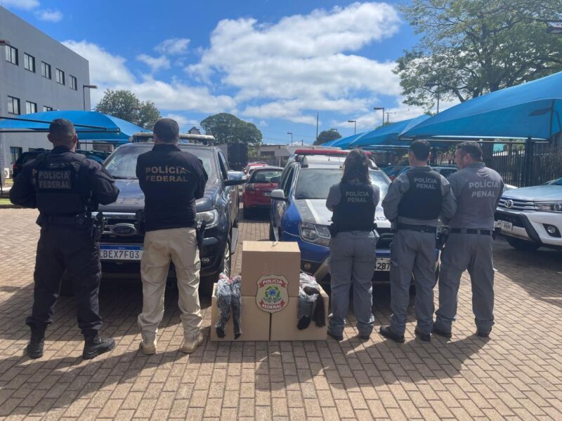 Guaíra – PF realiza doação de cabelos contrabandeados para apoio a pacientes em tratamento de câncer