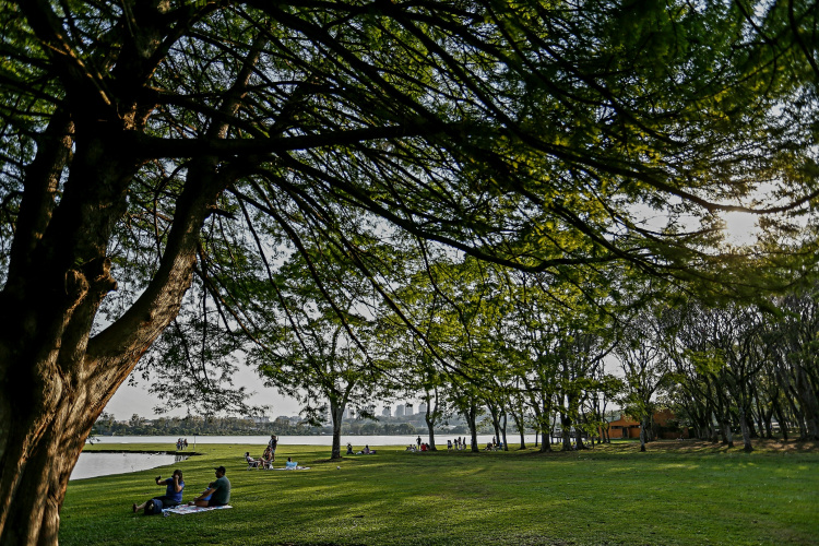 Reta final do inverno: setembro começa na segunda com mais calor e chuvas mais intensas