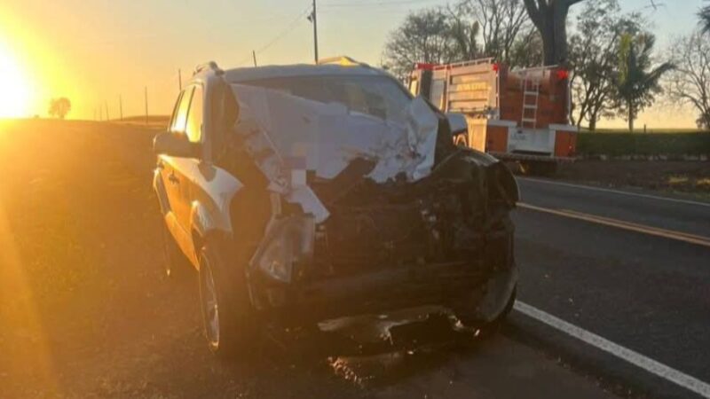 PR 281 – Médica do SAMU bate em boi solto e fica ferida