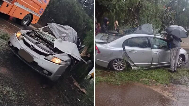 Trânsito – Casal morre após carro aquaplanar na chuva, capotar em rodovia e bater em árvore, no Paraná