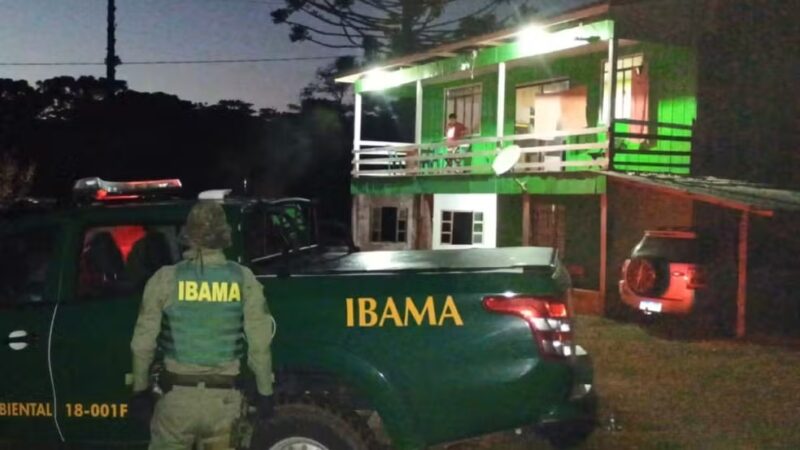 Paraná – PF prende cacique e vice-cacique suspeitos de integrar quadrilha responsável por desmatamento ilegal em reserva indígena