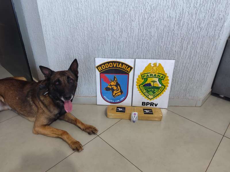 PRC 272 – Casal é preso com pasta base de cocaína durante operação em Iporã