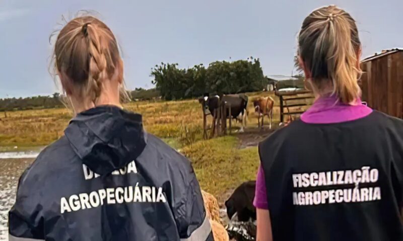 Saúde – Primeiro caso de gripe aviária é confirmado no Ceará