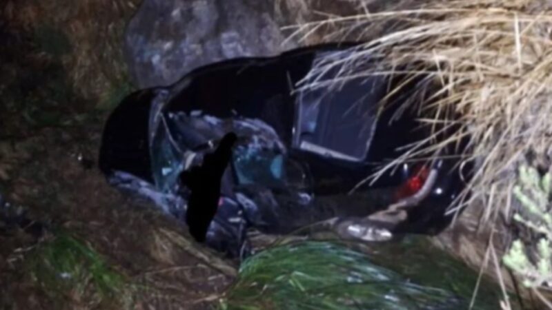 Trânsito – Mulher de 23 anos morre após carro capotar e cair em córrego na PR-459