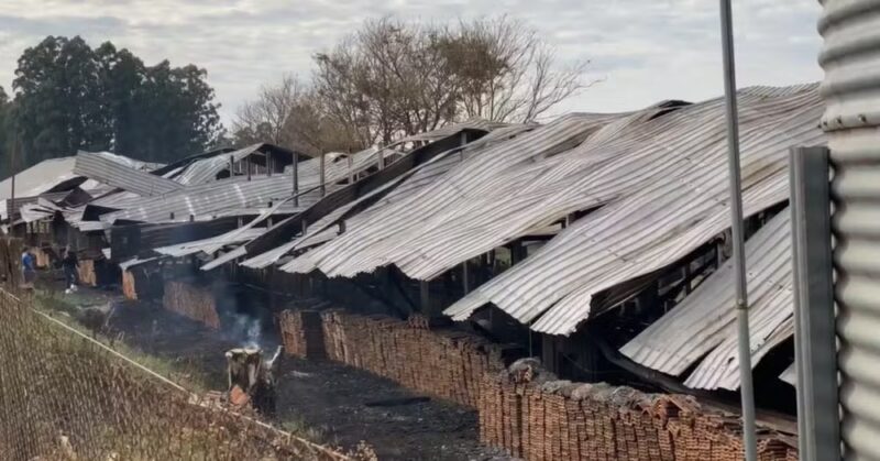 Cascavel – Incêndio atinge aviário, mata 21 mil ‘pintinhos’ e causa R$ 2 milhões em prejuízo