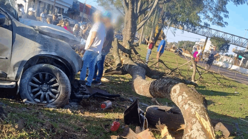 Região – Caminhonete “decola” em lombada e arranca árvore