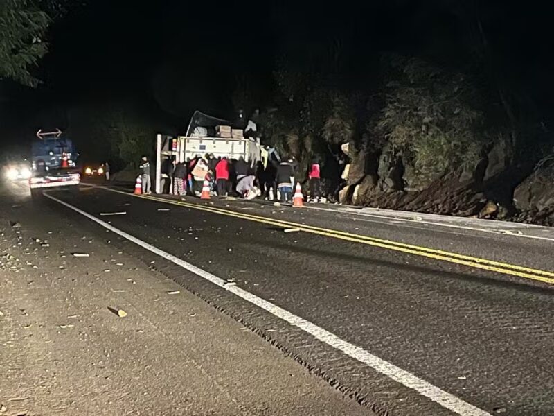 Trânsito – Caminhão tomba, e 27 toneladas de frango congelado são saqueadas por grupo de 100 pessoas no Paraná