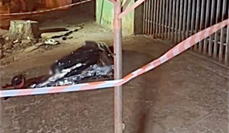 Paraná – Adolescente é assassinado com tiro na cabeça na frente dos amigos