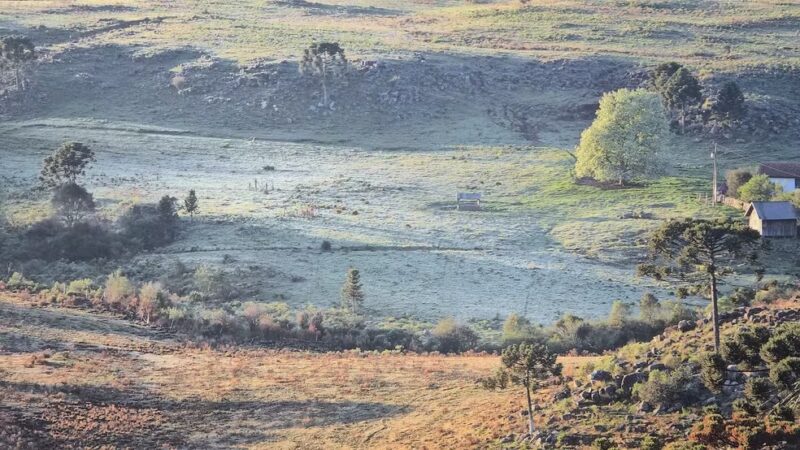 Geada negra, ventos fortes e 0°C até no Oeste: terça será o dia mais gelado do ano no Paraná