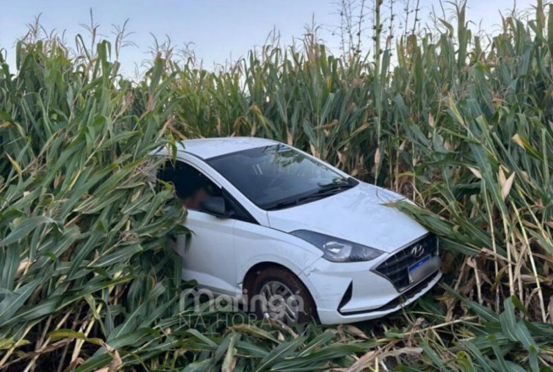 Paraná – Idosa morre após ser atropelada pelo marido enquanto saiam de sítio