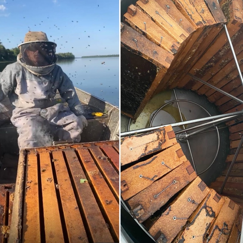 Guaíra – Sebrae/PR e apicultores buscam reconhecimento e qualificação do mel produzido