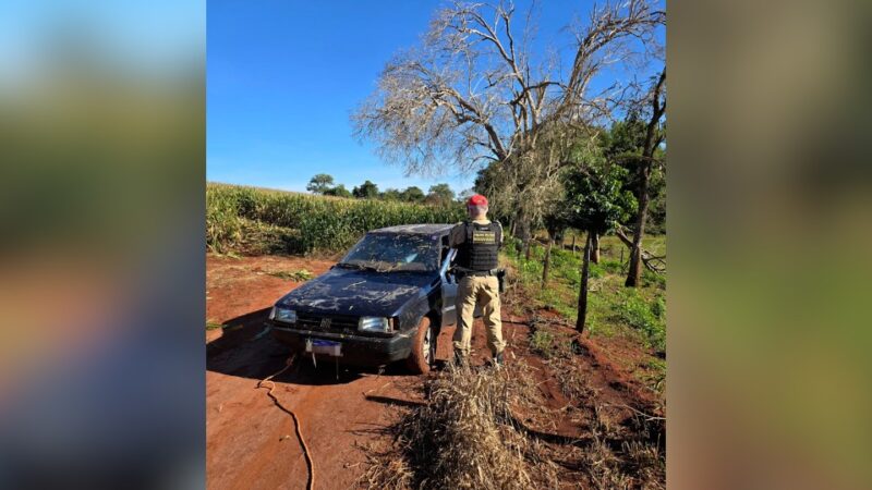 PR 364 – Carga de cigarros contrabandeados é apreendida após perseguição em Palotina