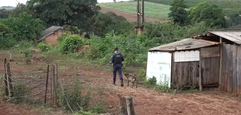 Paraná – Mulher é presa suspeita de sequestrar filhas de vizinha; crianças foram encontradas a 80 km de casa