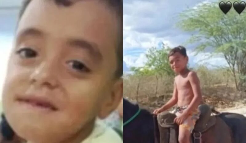 AL – Menino de 7 anos morre após ser atingido no peito por coice de cavalo