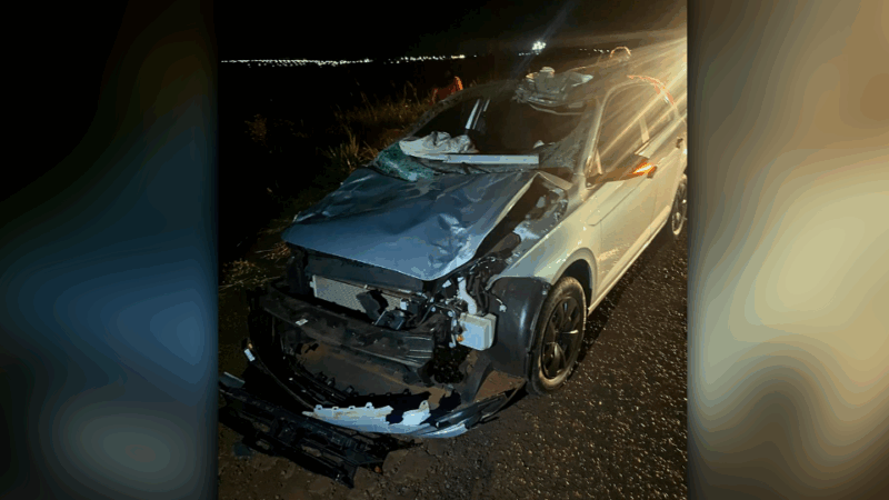 PR 239 – Família fica ferida após carro atropelar cavalo em Assis Chateaubriand