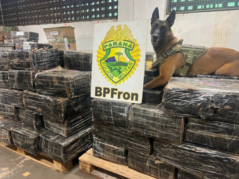 Santa Helena – Cão farejador guia policiais em mata e encontra mais de uma tonelada de maconha